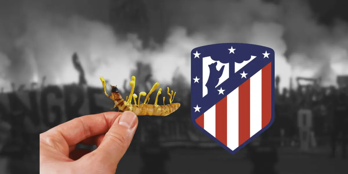 Dejó una huella increíble en el Atléti pero por una causa extraña, debía de colgar las botas